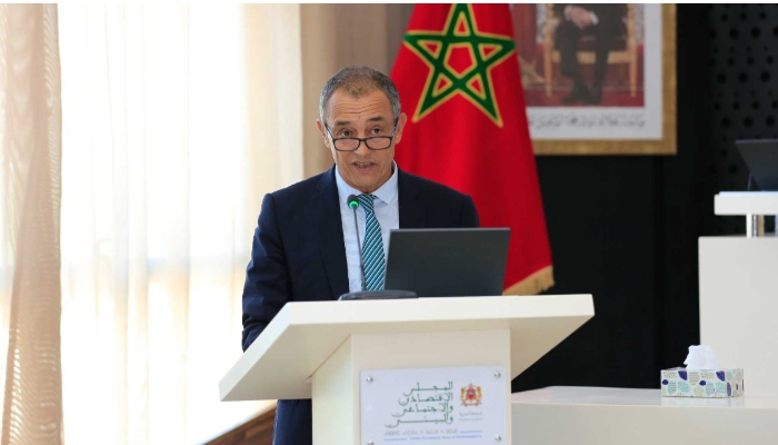 Partenariat sud-sud : Pour le CESE, l’intégration des chaînes de valeur régionales, catalyseur du progrès des pays africains