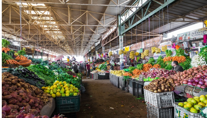 Agrégation agricole : Feu vert pour la commercialisation directe des fruits et légumes
