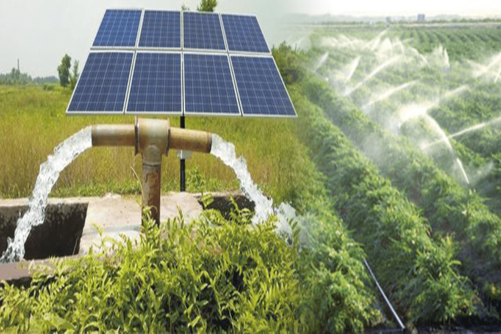 80.000 hectares irrigués grâce à l’énergie solaire
