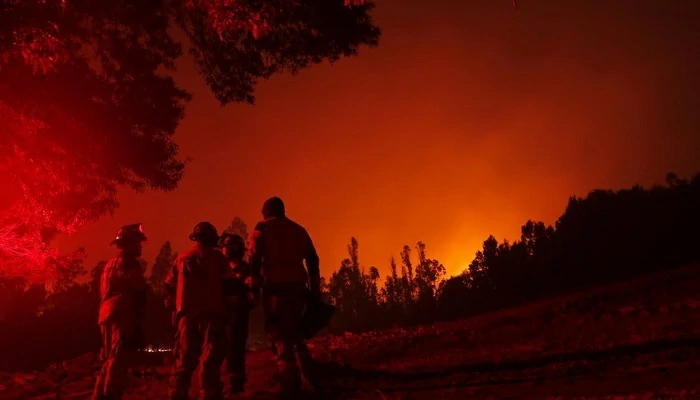 Incendies de forêt au Chili