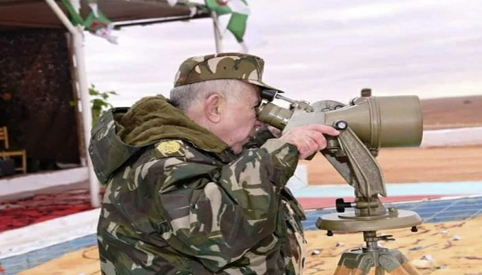 Manœuvres militaires algériennes