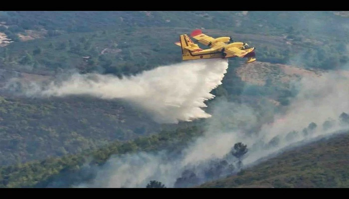 Près de 300 hectares partis en fumée…