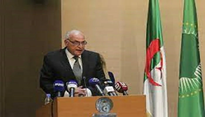 L’Algérie rejoint le Conseil de sécurité de l’ONU