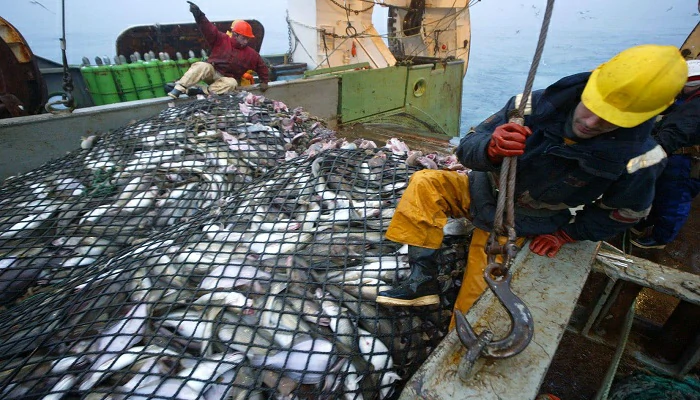 Expiration de l’accord de pêche Maroc-UE : Les Espagnols s’agitent…