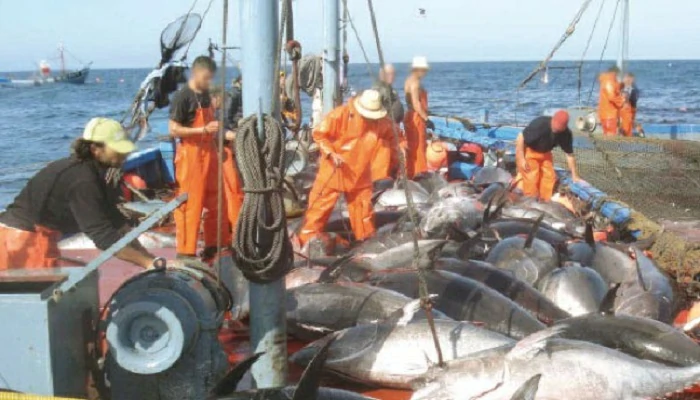 Retour des pêcheurs espagnols dans les eaux marocaines : Le Polisario menace de recourir à la justice européenne