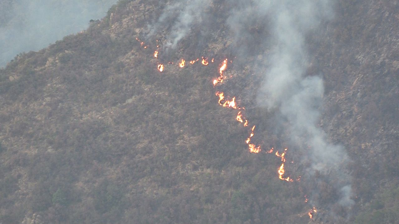 La forêt d’Ourgha en feu : En dépit de l’alerte…