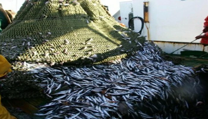 Accord de pêche maroco-européen : De faux pavillons dans les eaux marocaines ?