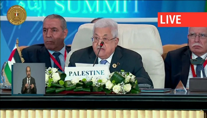 Le "Sommet pour la paix" du Caire appelle à un "cessez-le-feu" à Gaza