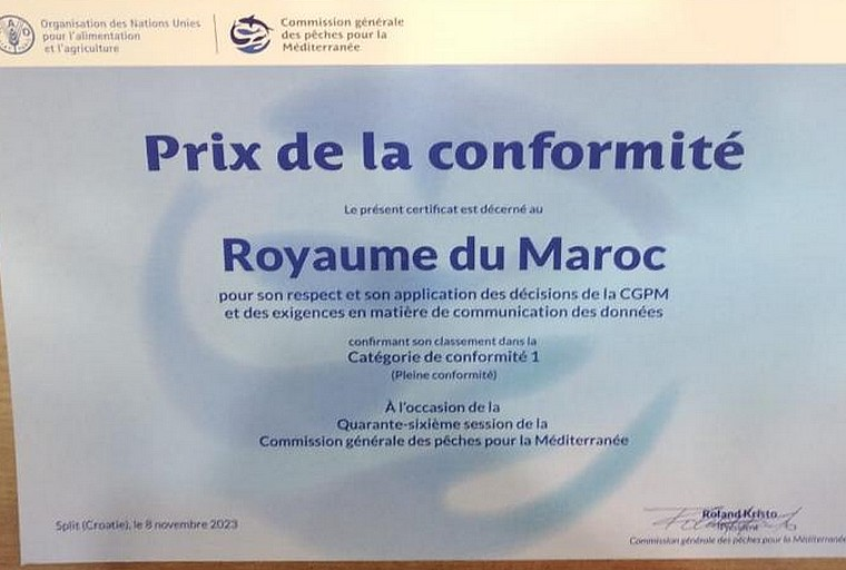 Pêcherie responsable : La Commission générale des pêches pour la Méditerranée décerne le Prix de conformité au Maroc
