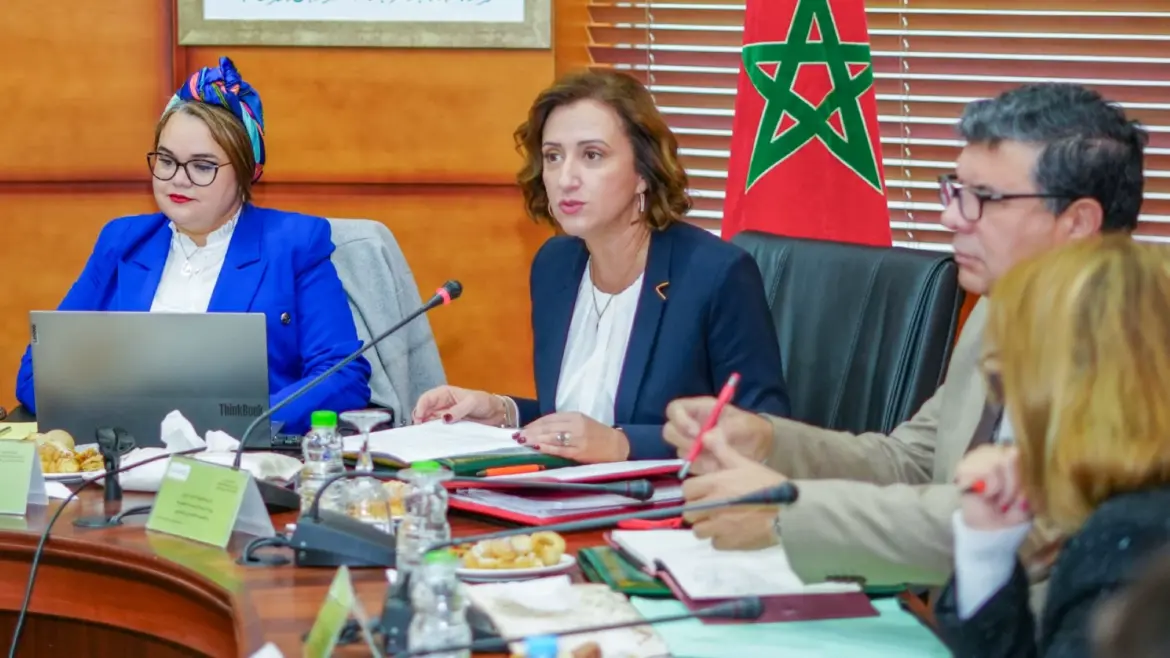Économie Sociale et Solidaire : F.Z. Ammor préside le CA de l’ODCO