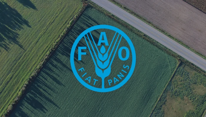FAO : L’Indice des prix des produits alimentaires fléchit en décembre
