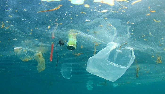 La Méditerranée dans un sale état : La pollution des plastiques inquiète des experts turcs