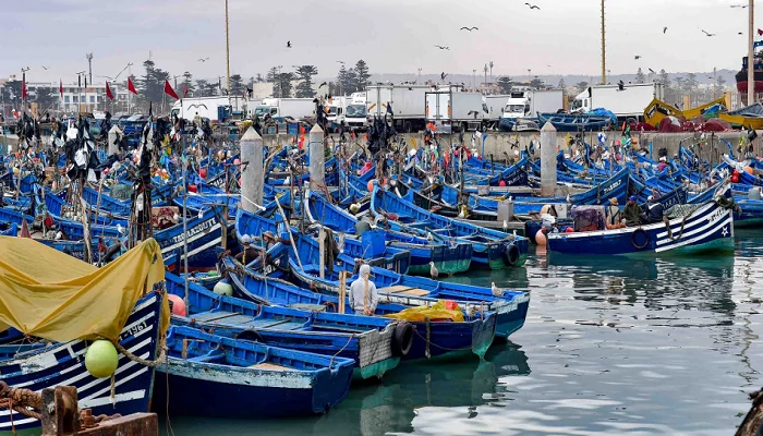 Ports Méditerranéens : Recul de 7% des débarquements en 2023
