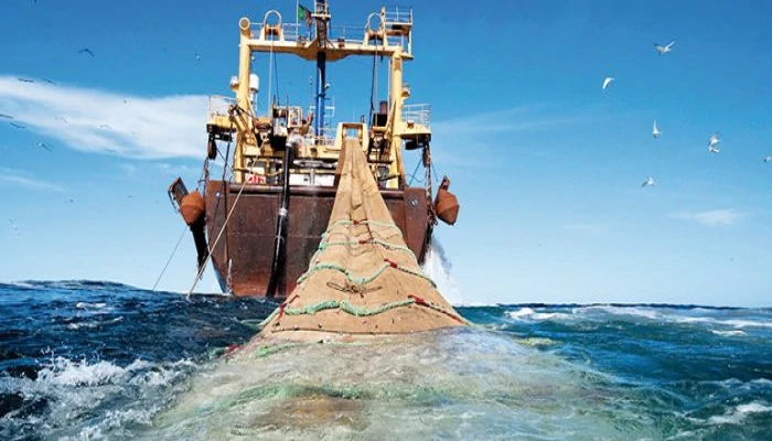 Pêche côtière et artisanale : Reprise en valeur et en volume des débarquements