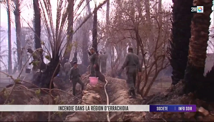 Incendie à Errachidia : 11 hectares de palmiers partis en fumée !