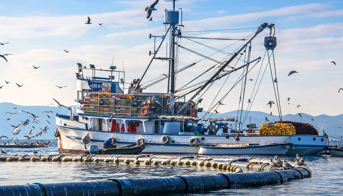 Accord de pêche maroco-européen : Les opérateurs espagnols s’impatientent