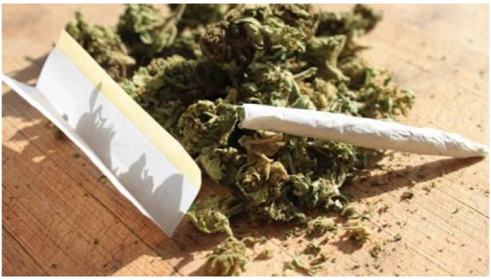 « Légalisation » du cannabis aux USA : Pas de fumée sans feu électoral…