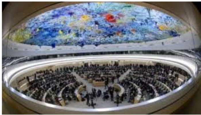 Crise humanitaire de Gaza : Des experts de l’ONU dénoncent la stigmatisation de leurs actions
