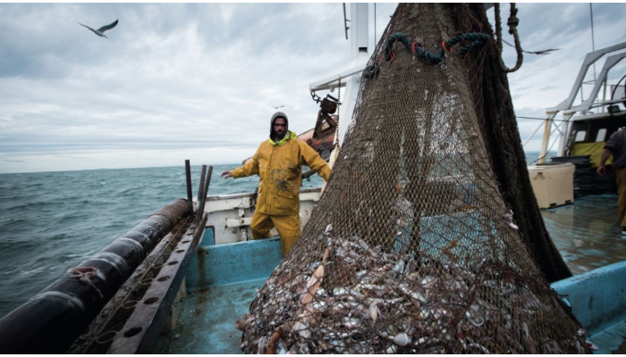 Accord de pêche maroco-européen : Pas de retour pour les flottes européennes…