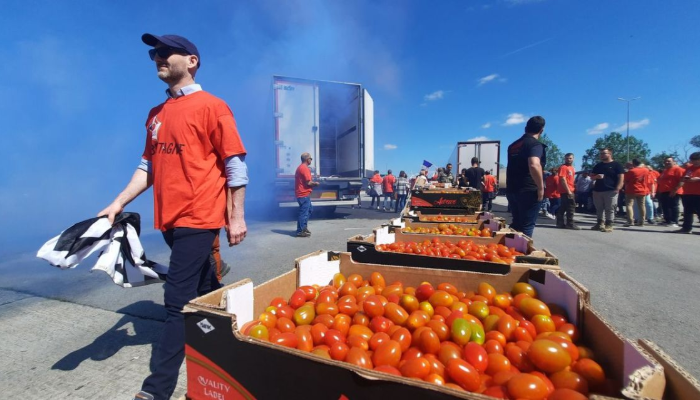 Tomates marocaines sur le marché français : Les producteurs locaux voient rouge !