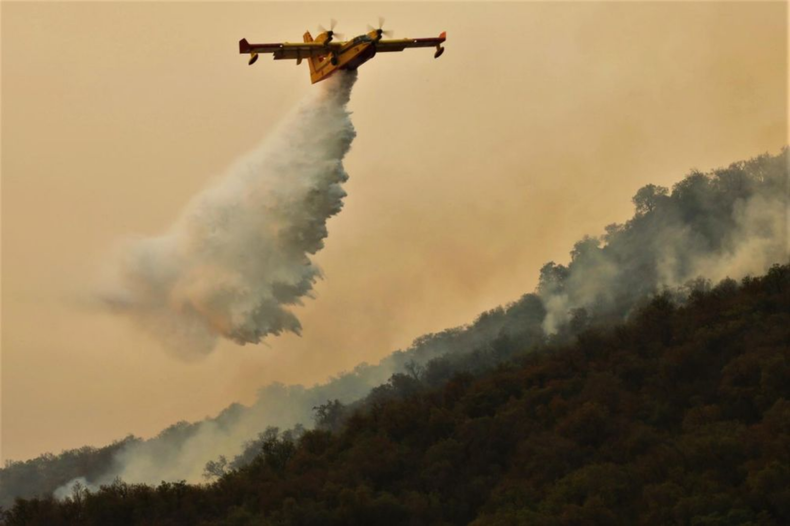Incendie ravageur près de Taza : 30 ha de couvert forestier partis en fumée à Chrarada