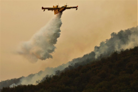 Incendie ravageur près de Taza : 30 ha de couvert forestier partis en fumée à Chrarada