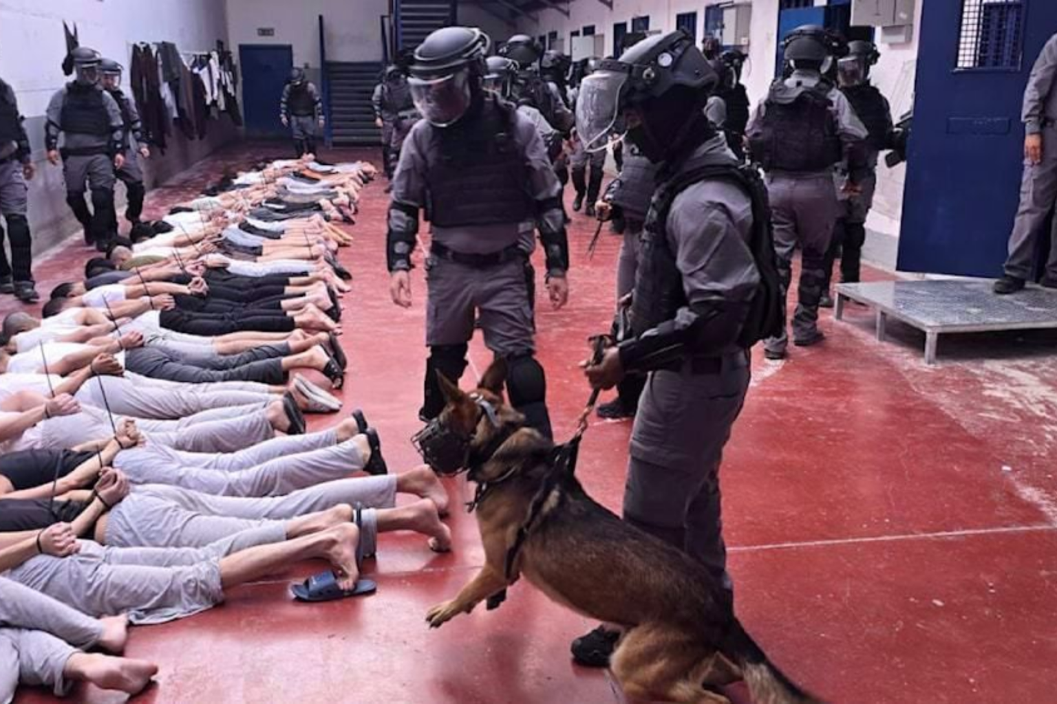 Déshumanisation des prisonniers palestiniens : Les pratiques dans le mouroir Megiddo dénoncées