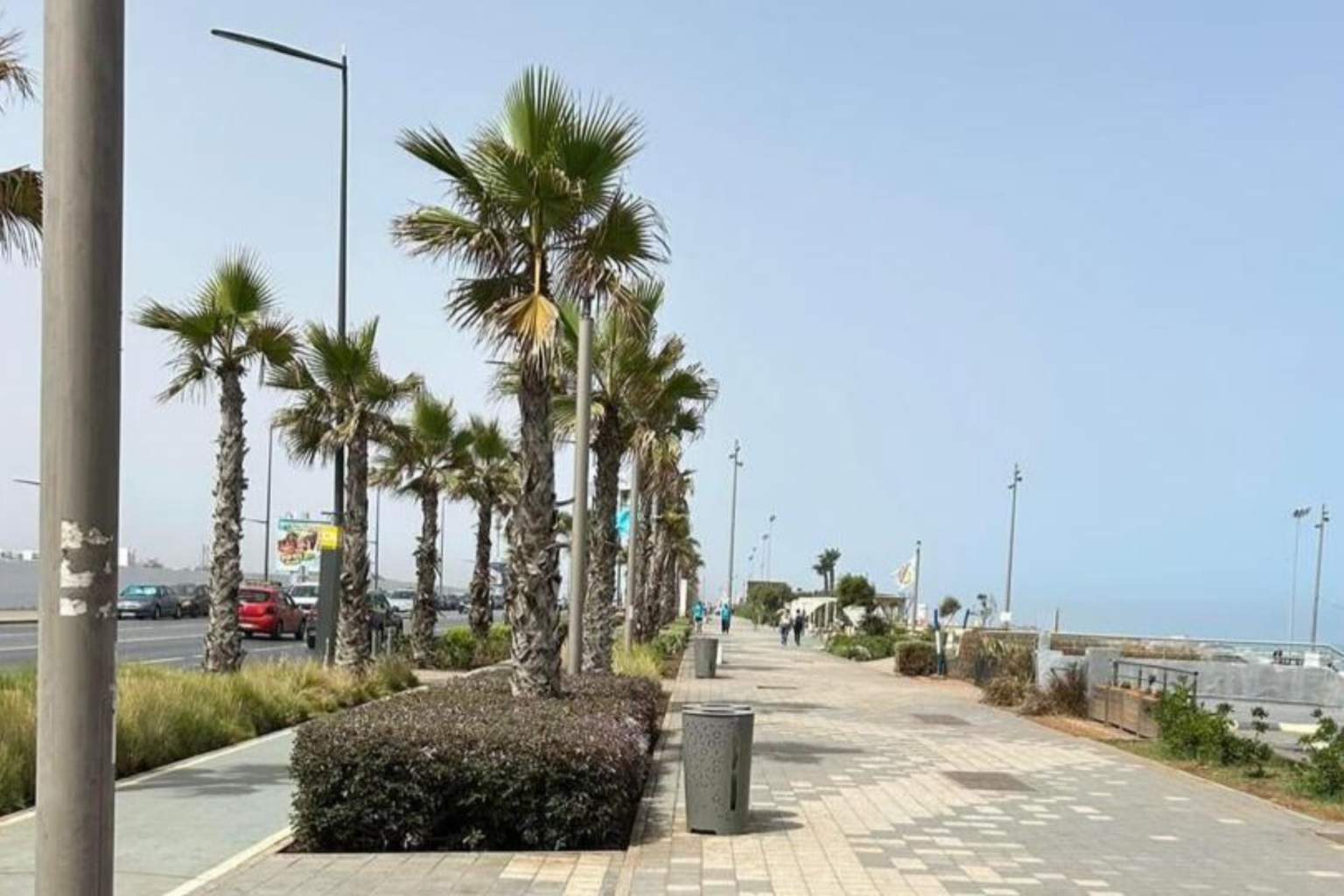 Aménagement du Grand Casablanca : Enfin une décision écoresponsable : Haro sur les palmiers !