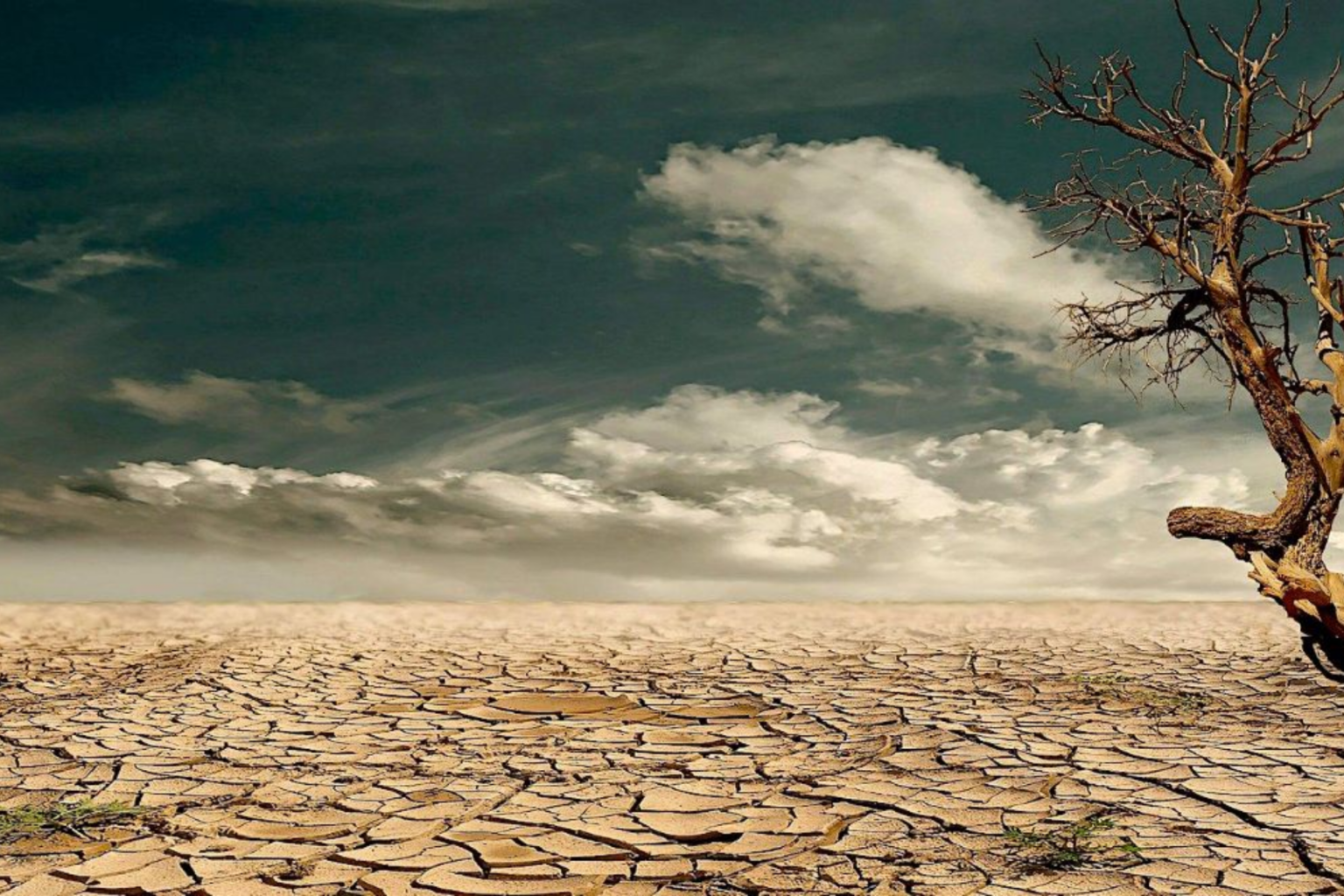Dérèglement climatique : Faute de proactivité : L’Homme trinque, s’alarme The Lancet