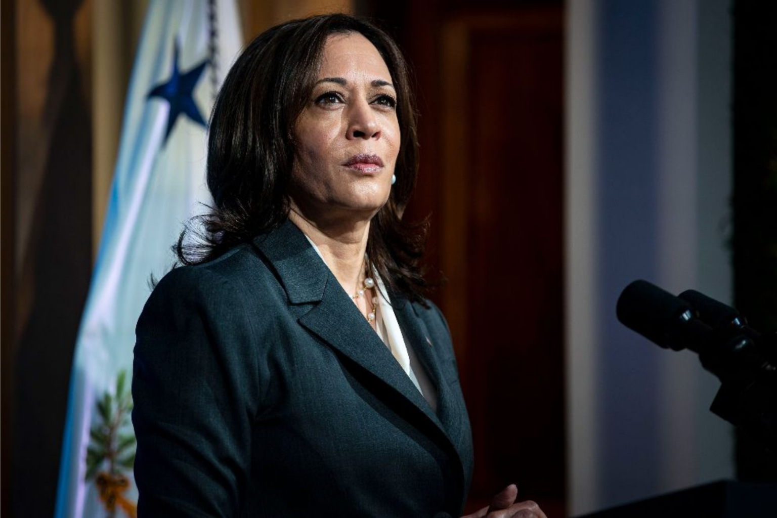 Face au drame palestinien dans la bande de Gaza : K. Harris élude les vraies questions : Et s’emballe contre D. Trump jugé « dangereux »
