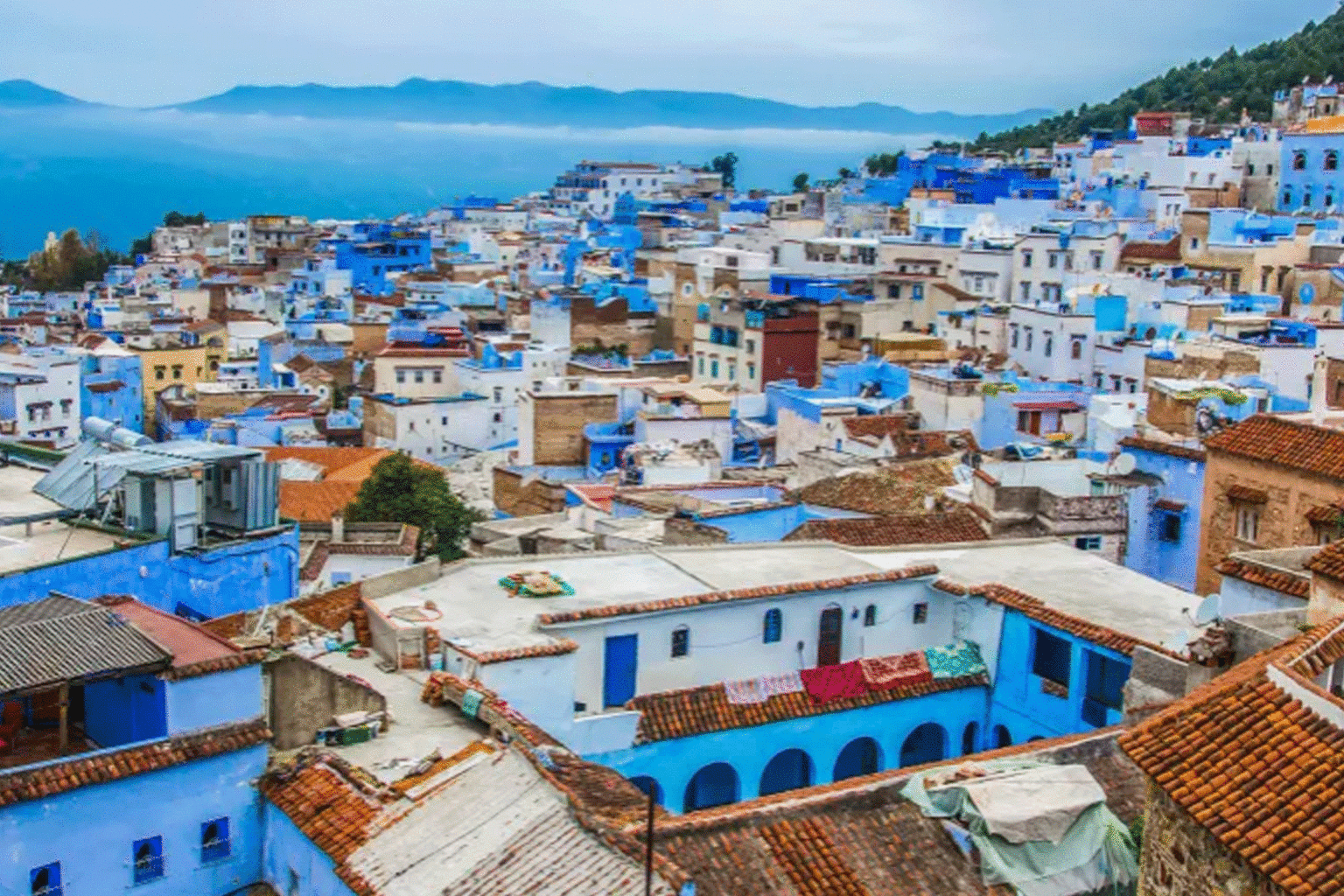 Le Maroc abrite le 2e forum arabe pour le développement du tourisme : Des alliances en perspective ? 