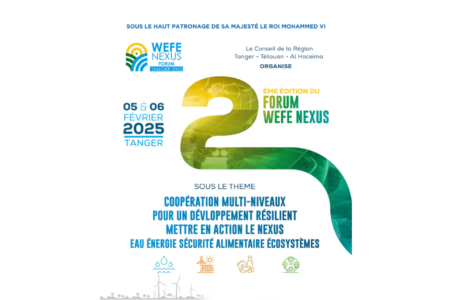 Développement durable : Tanger accueille le forum WEFE Nexus 2025. Le CESE impliqué...