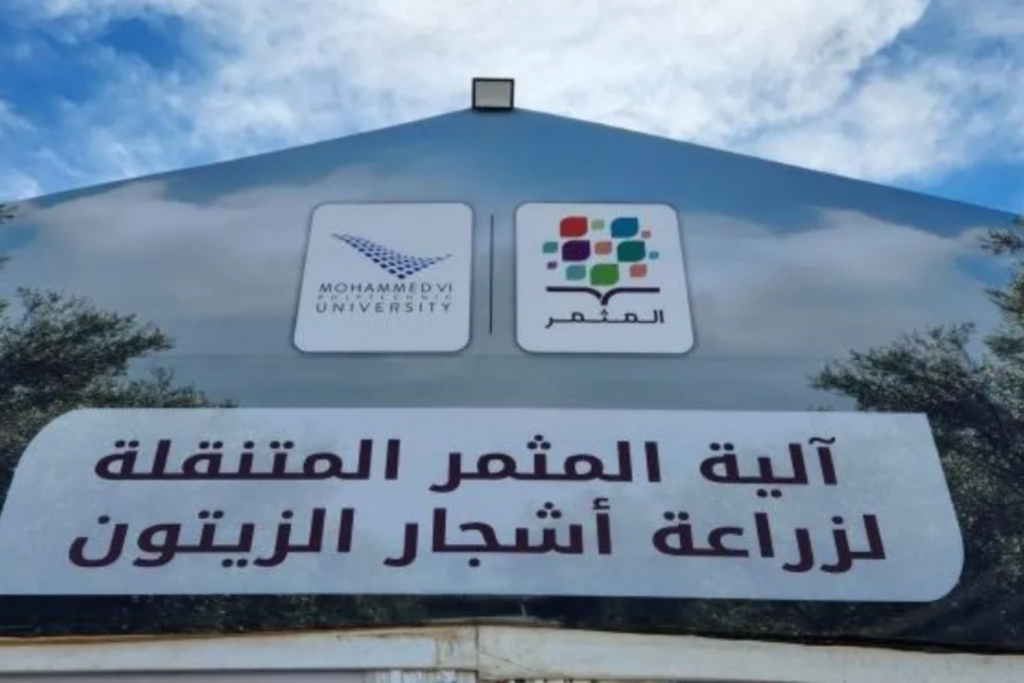 Al Moutmir : Oléiculture, 640 agriculteurs sensibilisés à l’olivier