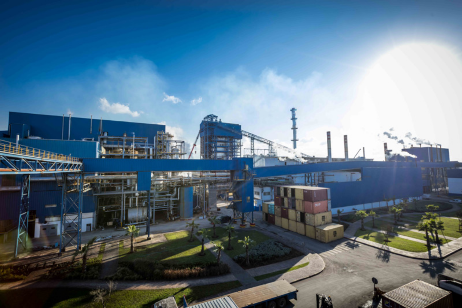 Sucrerie : Cosumar, un CA consolidé de 10,23 Mrds DH en 2024