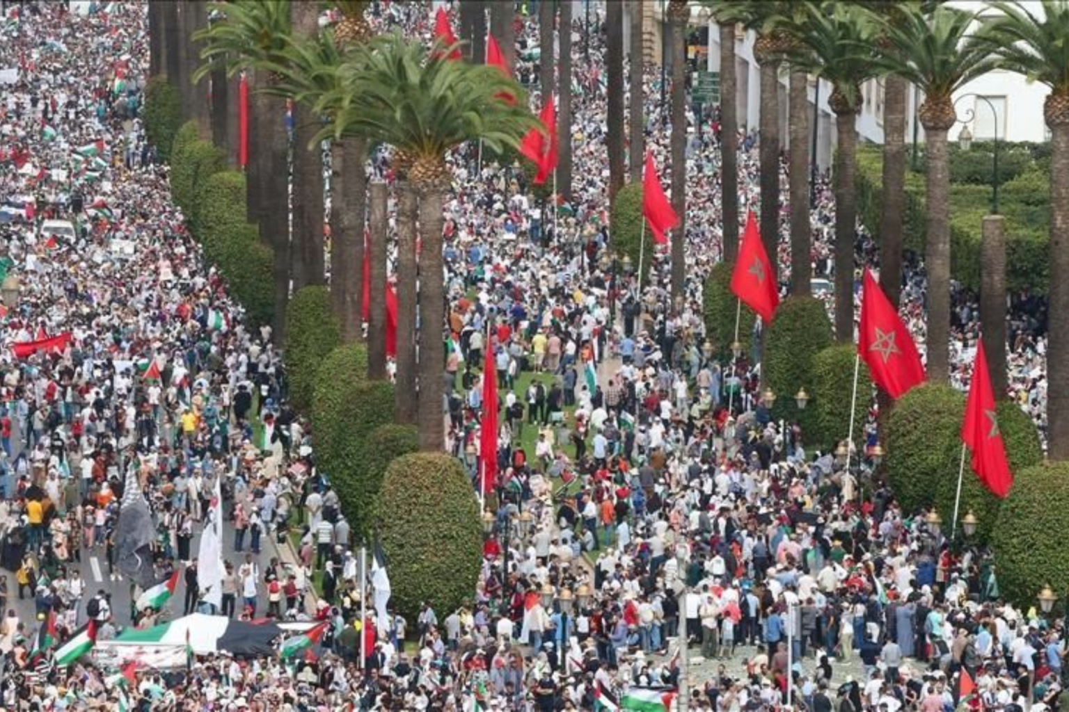 Le Machrek à l’épreuve des agressions sionistes : Dénonciations et solidarité des islamistes marocains. La Palestine et le Yémen occultent le Liban...