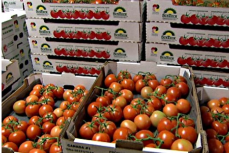 Exportations horticoles vers l’U.E : Soupçons de fraude fiscale du Maroc. Bruxelles dément les assertions du PP espagnol