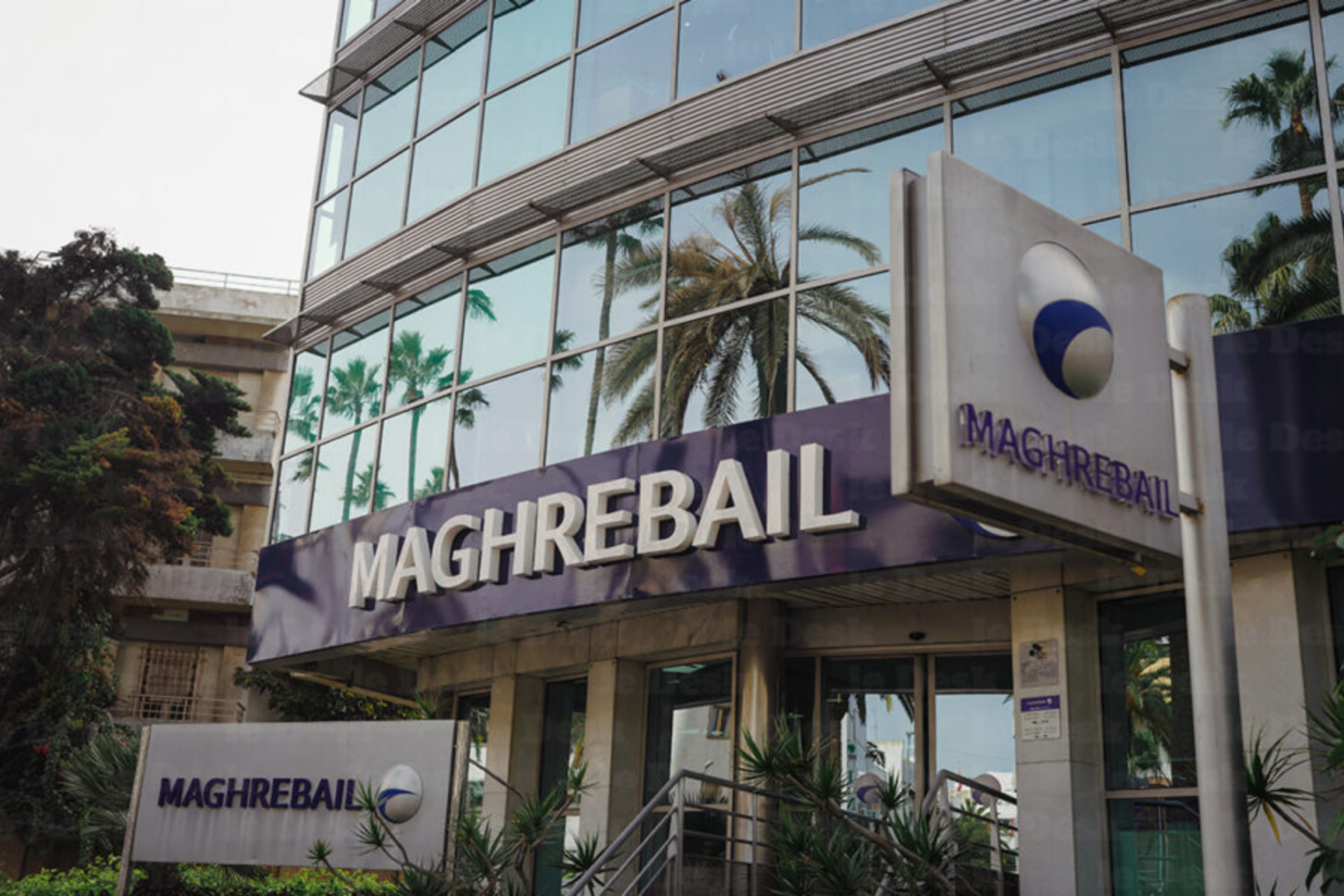 Leasing : Maghrebail, le résultat net en hausse de 6,12% en 2024