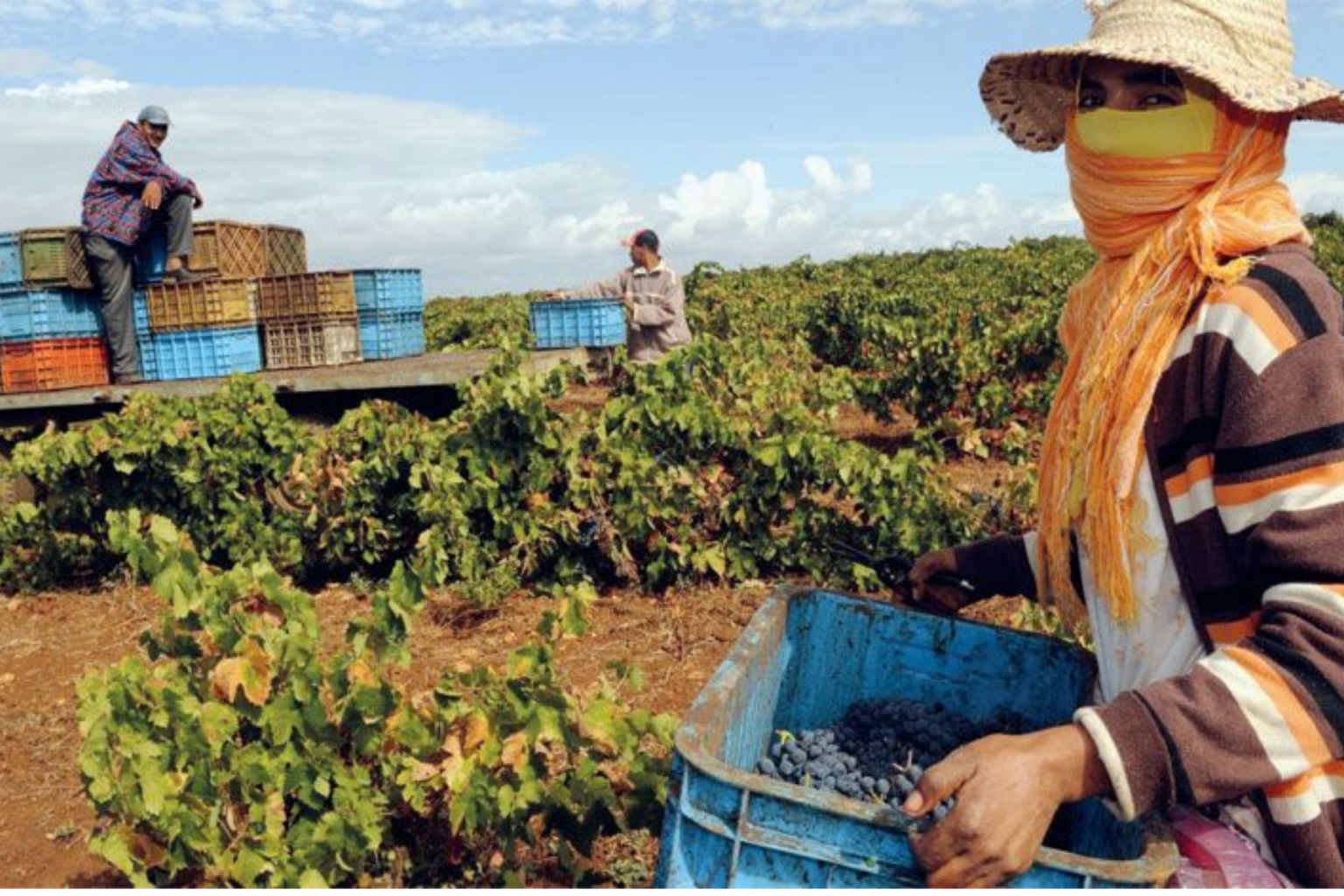 Marché du travail : Défis où déficits structurels. Ce qu’en dit un rapport US...