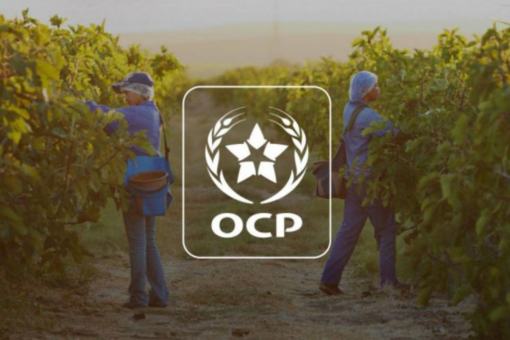 Minerais : OCP, Le chiffre d’affaires progresse de 6% en 2024