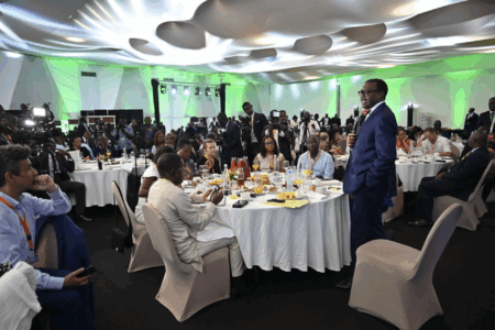 Investissements : Assemblée générale de la BAD. Akinwumi Adesina dresse le bilan du programme “High 5” 