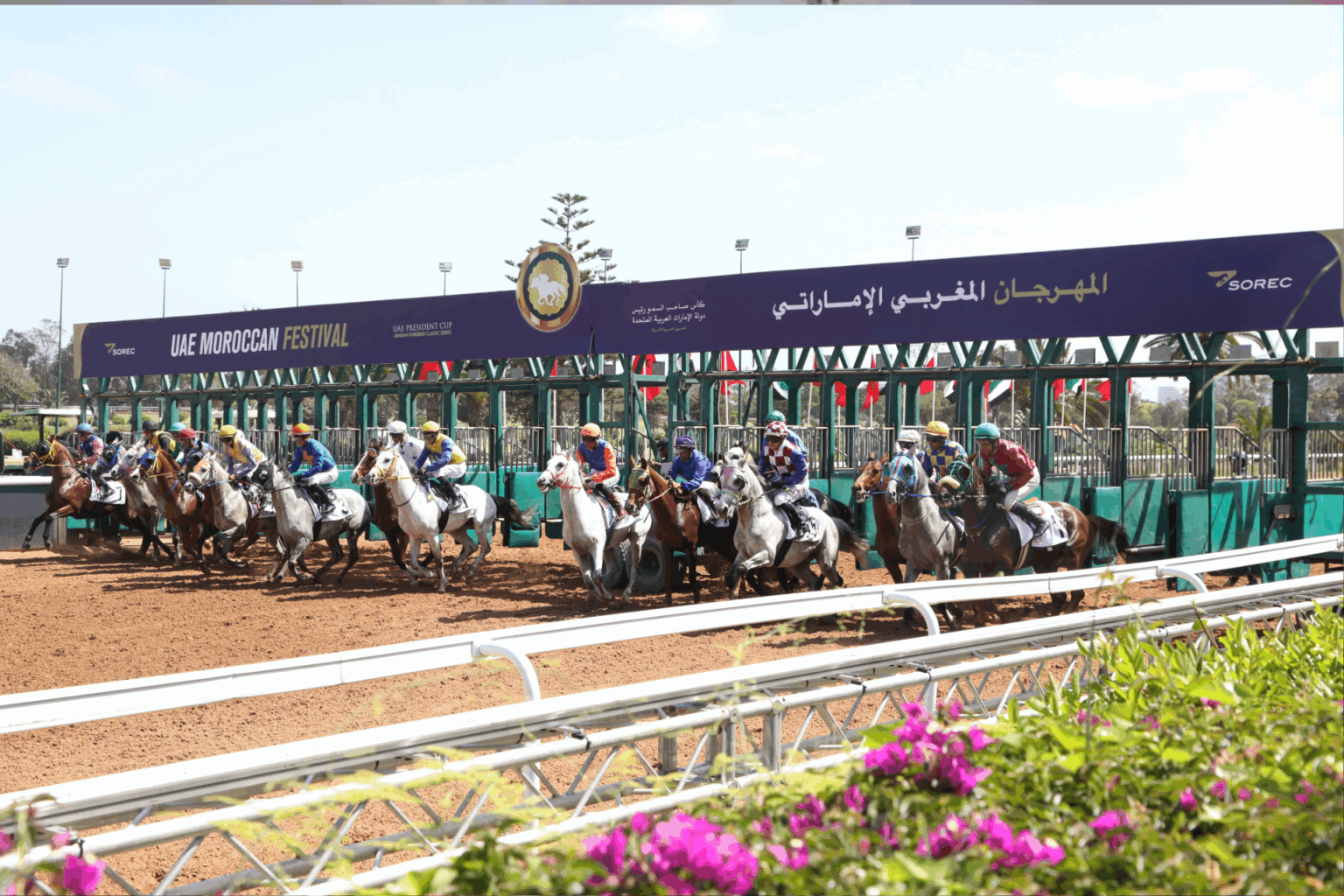 Course hippique : le UAE Moroccan Festival propulse Casablanca sur la scène internationale du galop