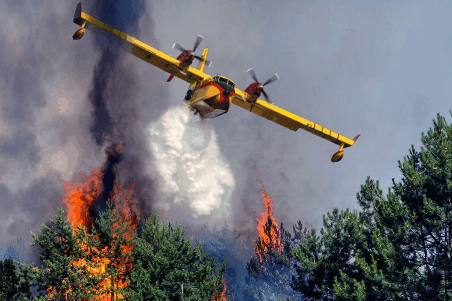 Feux de forêts : A l’approche de la saison estivale. L’ANEF se mobilise