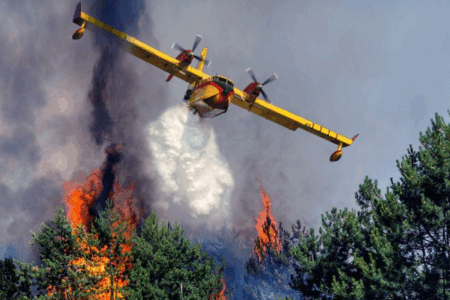 Feux de forêts : A l’approche de la saison estivale. L’ANEF se mobilise