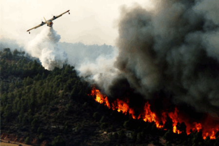 Incendie de la forêt de Houara : Un suspect entre les mains de la justice. L’enquête se poursuit...