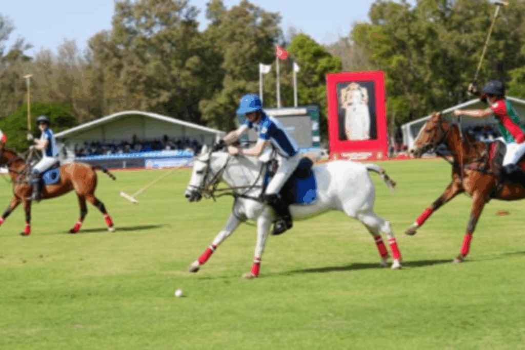Sports équestres/Polo : Le Maroc dispose des USA...