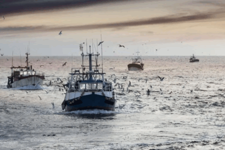 Pêche : Selon l’ONP, hausse de la valeur des produits commercialisés à fin avril
