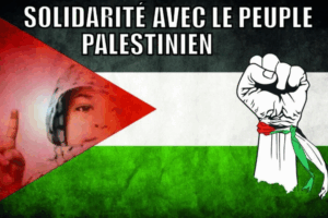 Face à l’échec diplomatique : Protect Palestine agit. Une pétition lancée avec, à la clé, une intervention militaire