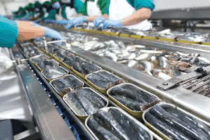 Sardine industrielle : Pratiques anticoncurrentielles. Le Conseil de la concurrence enquête