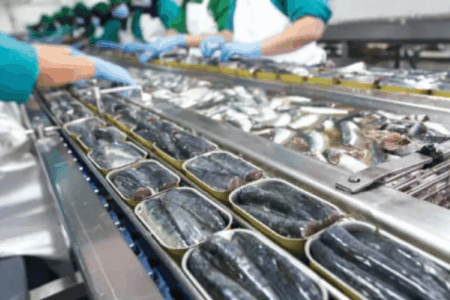 Sardine industrielle : Pratiques anticoncurrentielles. Le Conseil de la concurrence enquête