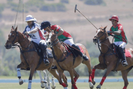 Sports équestres : Trophée international Mohammed VI. Les Marocains triomphent des Egyptiens